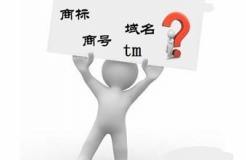 “.商標(biāo)”、“.TM”，域名商標(biāo)界的真假美猴王