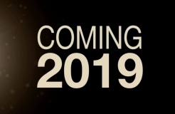 2019年知識(shí)產(chǎn)權(quán)業(yè)務(wù)怎么走？規(guī)?；烤坊?？