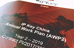 IP Key中國項目2019年度工作計劃公布！