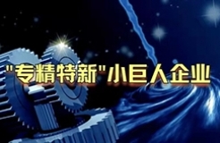 工信部：第三批專精特新“小巨人”企業(yè)達2930家，是前兩批總和的1.5倍