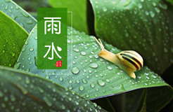 節(jié)日IP記 | 雨水：雨落 花開(kāi)！