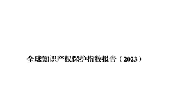 《2023年全球知識(shí)產(chǎn)權(quán)保護(hù)指數(shù)報(bào)告》全文發(fā)布