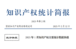 2025年1月專利、商標(biāo)、地理標(biāo)志等知識產(chǎn)權(quán)主要統(tǒng)計數(shù)據(jù) | 附數(shù)據(jù)詳情