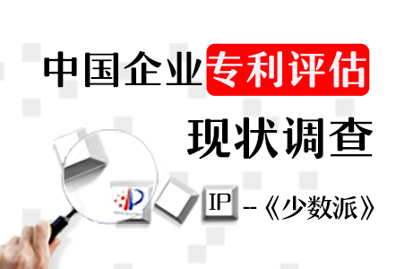 【少數(shù)派】中國企業(yè)“專利評估”現(xiàn)狀調(diào)查