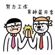 情人節(jié)！你收到的是“玫瑰”還是“月季”？