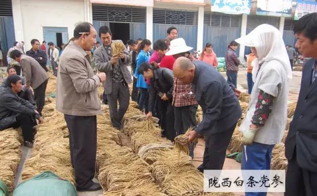 “一帶一路”上值得關(guān)注的「地理標志」