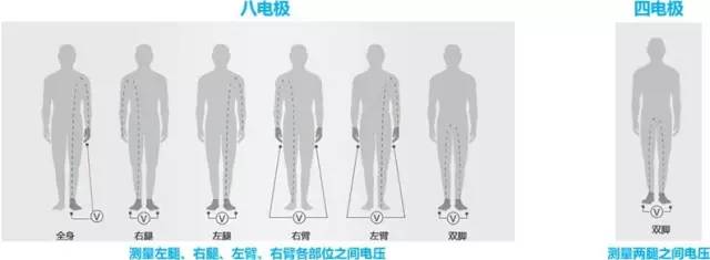 這款神器能檢測出「朋友圈曬的健身步數(shù)」是否是假運動？