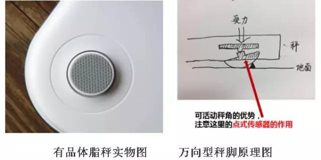 這款神器能檢測出「朋友圈曬的健身步數(shù)」是否是假運動？