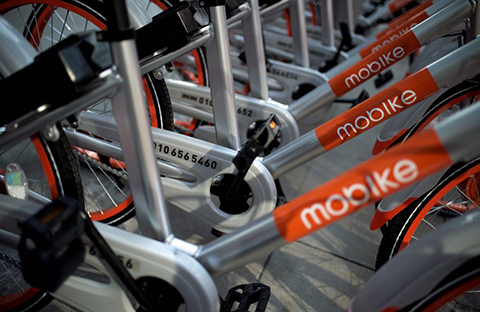 引證商標(biāo)被撤三！摩拜公司“MOBIKE”商標(biāo)注冊(cè)不具有在先注冊(cè)障礙