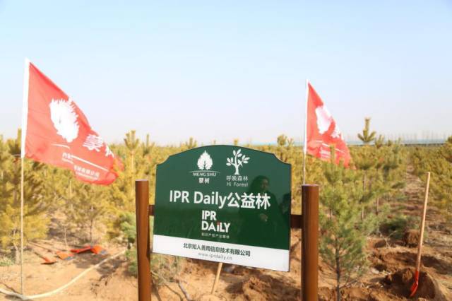 IPRdaily攜手“呼喚森林”共建公益林，為國家底色填一抹新綠