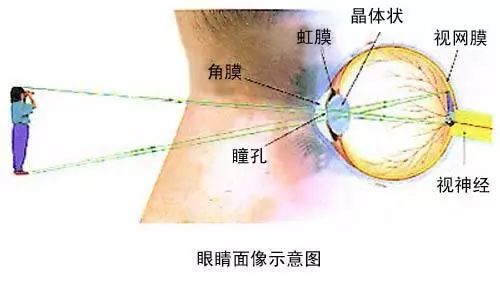 “滴了一年，最后瞎了”！一年賣(mài)7億的神藥曝驚人丑聞，延誤病情最終致盲？