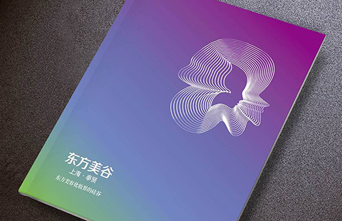 政府打造的“項(xiàng)目名稱”也敢搶注，申請人是無畏還是......