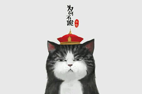 「吾皇萬(wàn)睡」商標(biāo)駁回復(fù)審決定書！