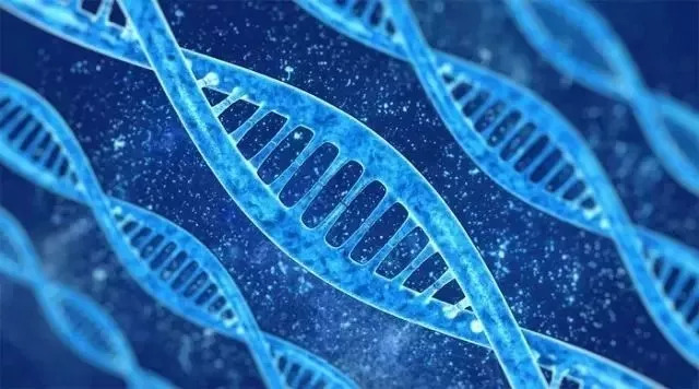 改變?nèi)祟愇磥砩畹陌舜蠛诳萍迹缼讉€?