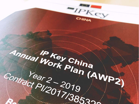 IP Key中國項目2019年度工作計劃公布！