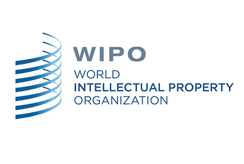 #晨報#WIPO 仲裁與調解中心成為中國國家頂級域名爭議解決機構（自2019.8.1日起）