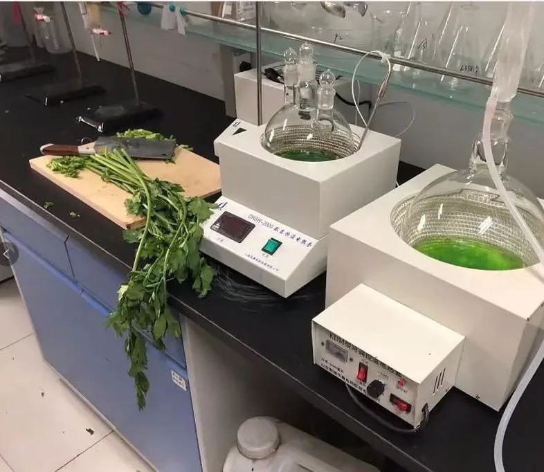 芹菜面膜已經申請專利，大蔥面膜還會遠嗎？