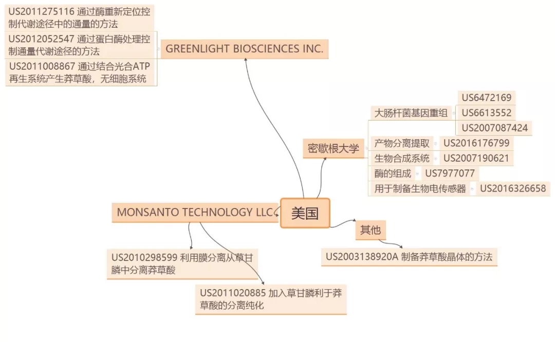 抗流感神器源起茴香八角？？？