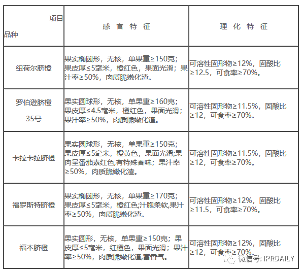 老羅義賣湖北臍橙1分5斤，薇婭直播帶貨火箭之背后的知產(chǎn)二三事