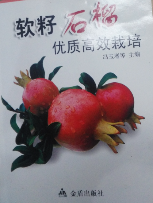 石榴形酒瓶可申請專利嗎？