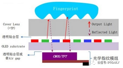 細(xì)分領(lǐng)域的專利代理-淺談光電顯示指紋識別技術(shù)