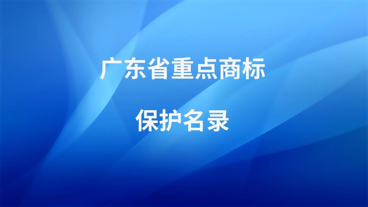 廣東商標協(xié)會2020大事記