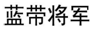 天長地久，藍帶啤酒，你喝對了沒有？【 遼寧高院發(fā)布十大知識產(chǎn)權(quán)司法保護典型案例（下）】