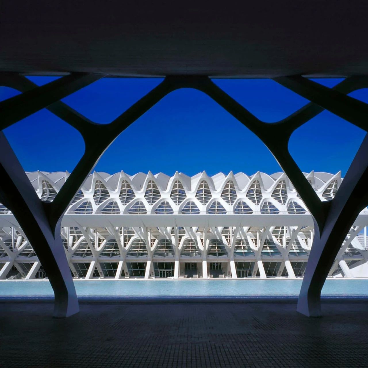 Santiago Calatrava ：自然設(shè)計(jì)建筑大師