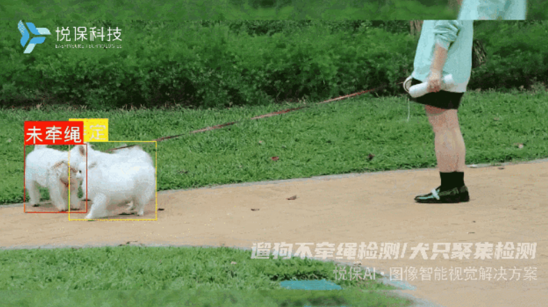 逗寵黑科技，寵物臉部關鍵點、肢體關鍵點檢測識別上線