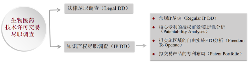 生物醫(yī)藥技術許可交易License-in/out中的考量要點之知識產(chǎn)權(quán)盡職調(diào)查