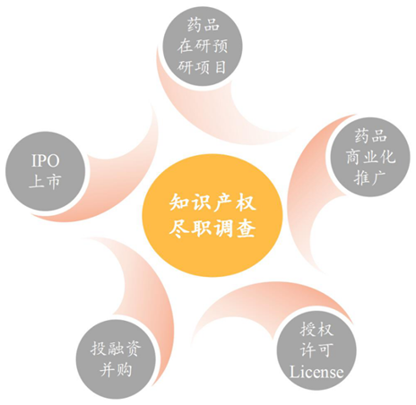 生物醫(yī)藥技術許可交易License-in/out中的考量要點之知識產(chǎn)權(quán)盡職調(diào)查