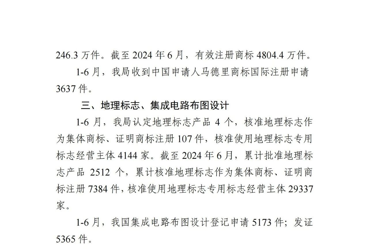 2024年1-6月專利、商標(biāo)、地理標(biāo)志等知識(shí)產(chǎn)權(quán)主要統(tǒng)計(jì)數(shù)據(jù) | 附數(shù)據(jù)詳情