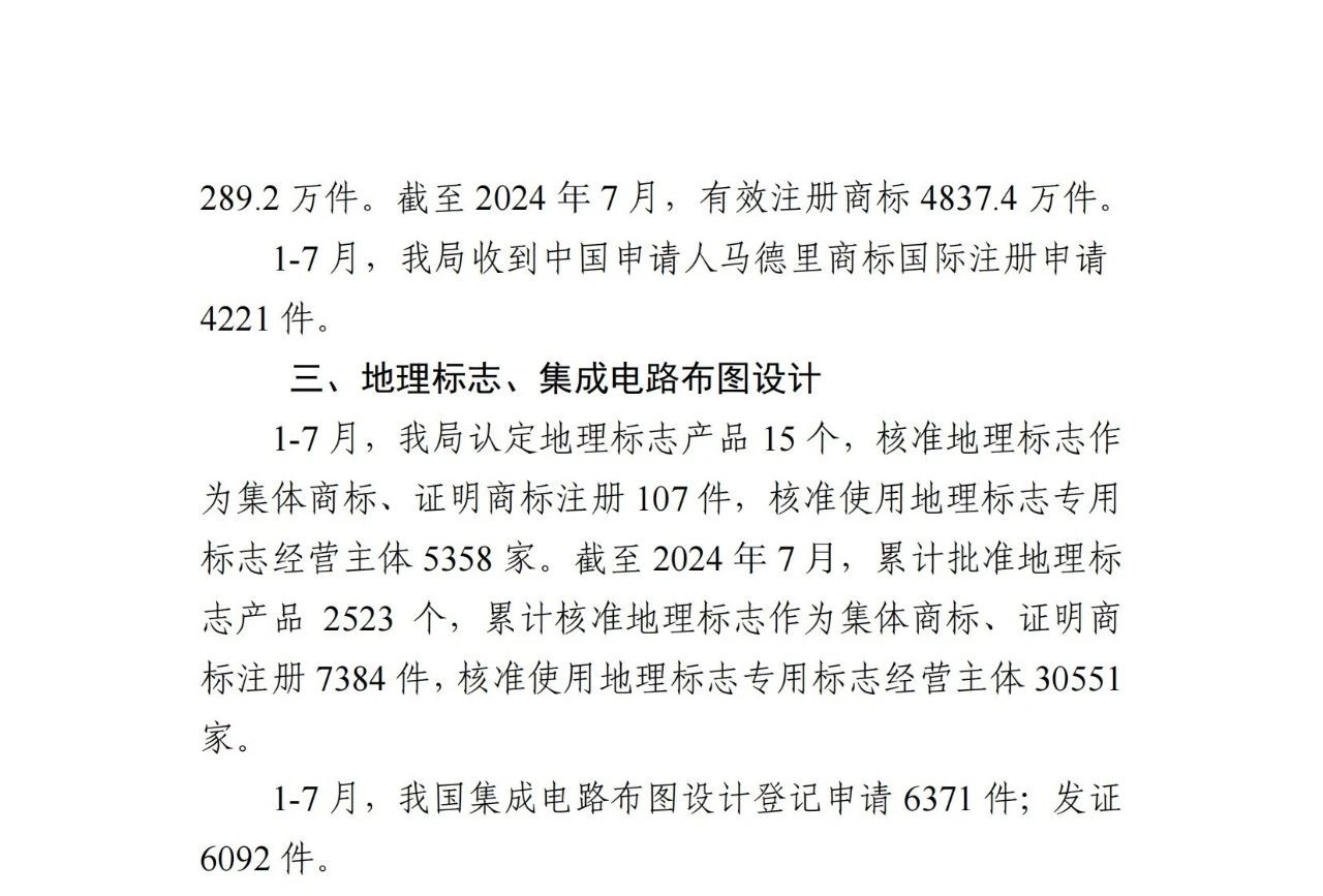 2024年1-7月專(zhuān)利、商標(biāo)、地理標(biāo)志等知識(shí)產(chǎn)權(quán)主要統(tǒng)計(jì)數(shù)據(jù) | 附數(shù)據(jù)詳情