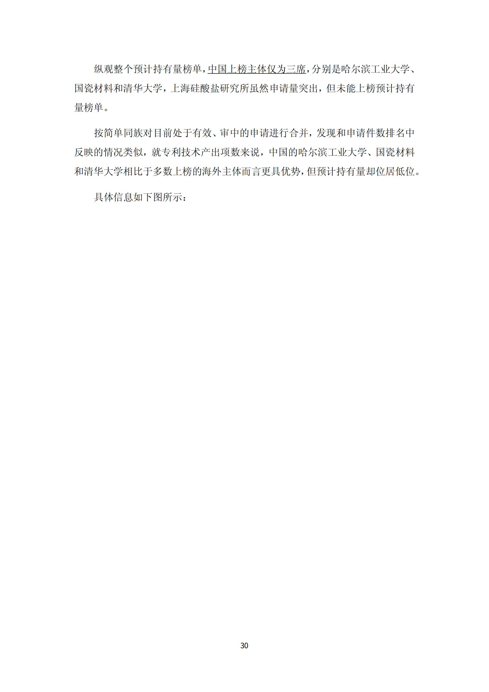 納米陶瓷產(chǎn)業(yè)海外專利預警分析報告_34