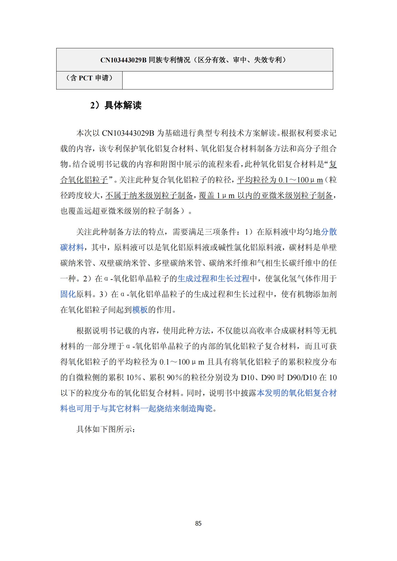 納米陶瓷產(chǎn)業(yè)海外專利預警分析報告_89