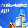 廣東高院發(fā)布知識產(chǎn)權(quán)懲罰性賠償?shù)湫桶咐?