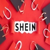 從程序到實(shí)體的多輪攻防：SHIEN.COM域名案獲勝紀(jì)實(shí) 