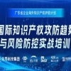 報(bào)名中！廣東省企業(yè)海外知識產(chǎn)權(quán)護(hù)航計(jì)劃——國際知識產(chǎn)權(quán)攻防趨勢與風(fēng)險(xiǎn)防控實(shí)戰(zhàn)培訓(xùn)，期待您的參與！ 