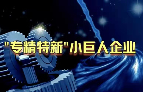 工信部：第三批專精特新“小巨人”企業(yè)達2930家，是前兩批總和的1.5倍