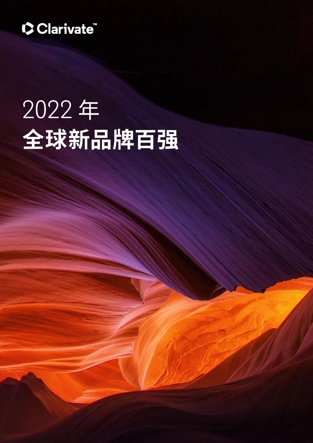 中文報告下載 | 2022年全球新品牌百強(qiáng)  ?